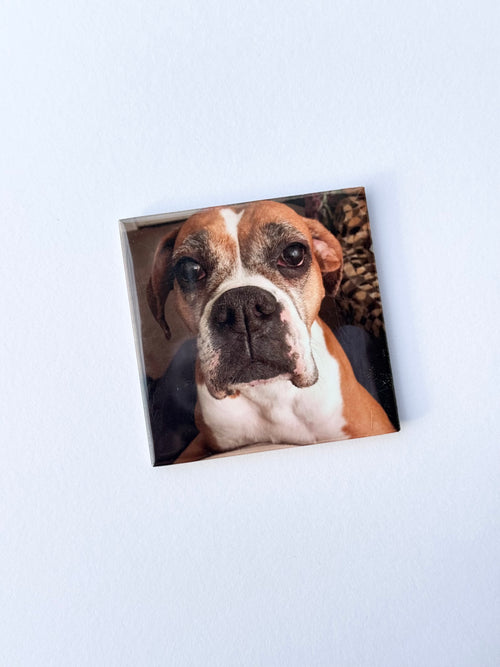 Single Personalized Magnet