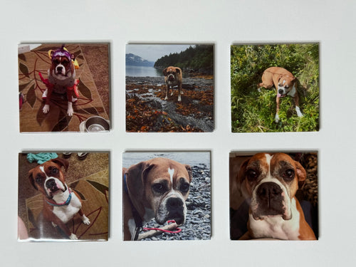 Set of 6 Personalized Photo Magnets