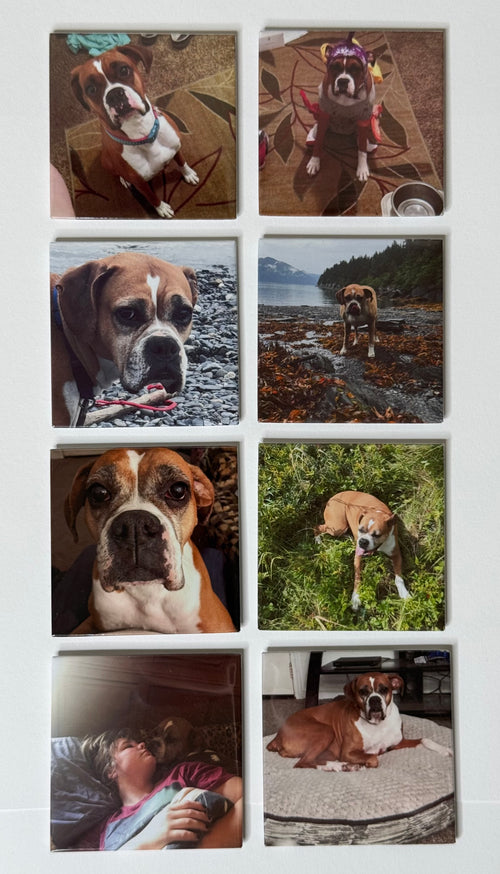 Set of 8 Personalized Photo Magnets