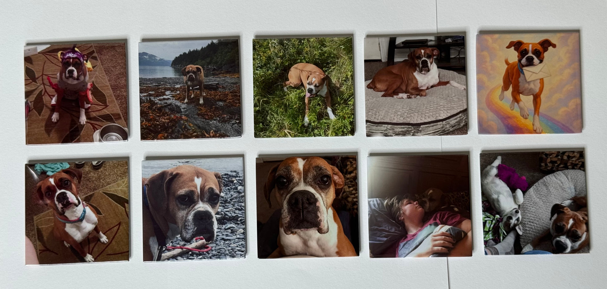 Set of 10 Personalized Photo Magnets