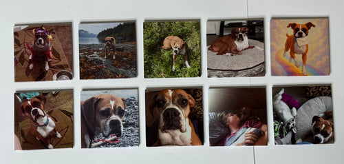 Set of 10 Personalized Photo Magnets